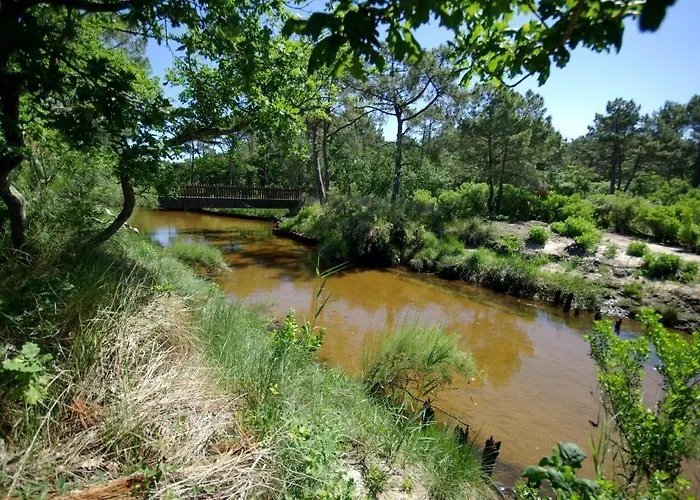 Bed & Breakfast Aresia 4*